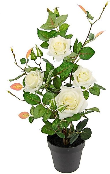 Kunstbaum Rosenbusch im Topf, I.GE.A., Höhe 50 cm, Kunstrosen Kunstpflanzen günstig online kaufen