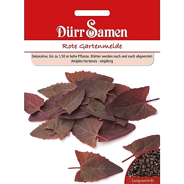 Dürr Samen Rote Gartenmelde Saatgut günstig online kaufen