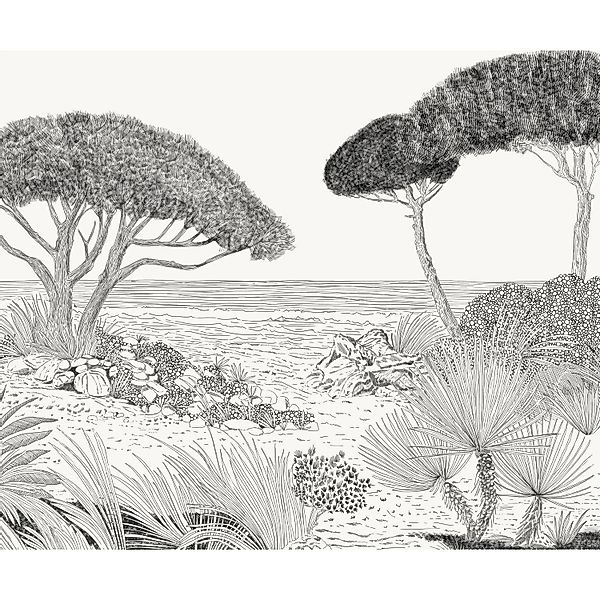 Komar Vliestapete Shoreline 300 cm x 250 cm günstig online kaufen