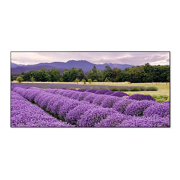 Banjado Magnettafel 78x37cm Magnetwand  Schwarz Aus Metall Magnetpinnwand P günstig online kaufen