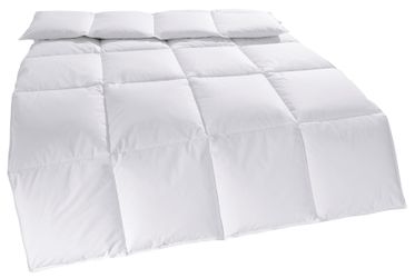 my home Daunenbettdecke "Cyra, Bettdecke 135x200 cm, 155x220 cm" extrawarm günstig online kaufen