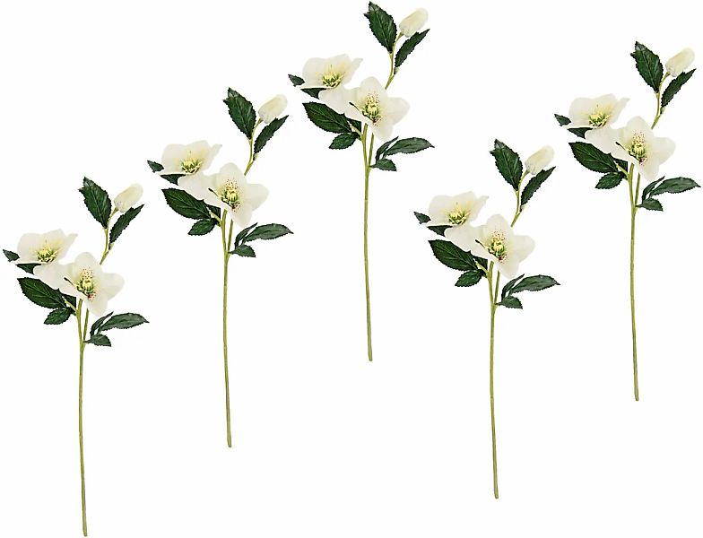 I.GE.A. Kunstblume "Christrose", Künstlich Seidenblumen, 5er Set günstig online kaufen