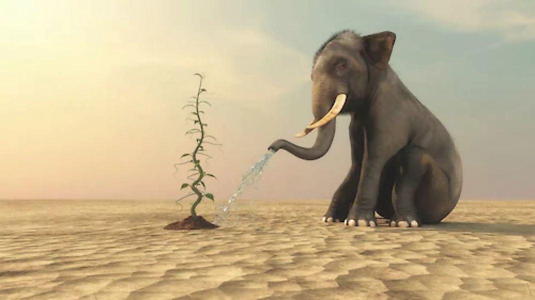 Papermoon Fototapete »Elefanten, die Bohnen gießen« günstig online kaufen