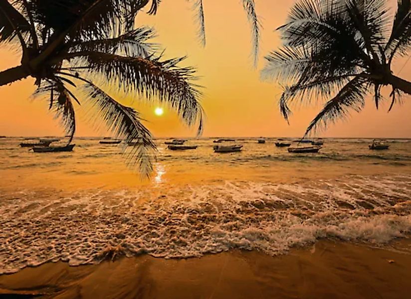 Papermoon Fototapete »Sri Lanka Palm Beach« günstig online kaufen