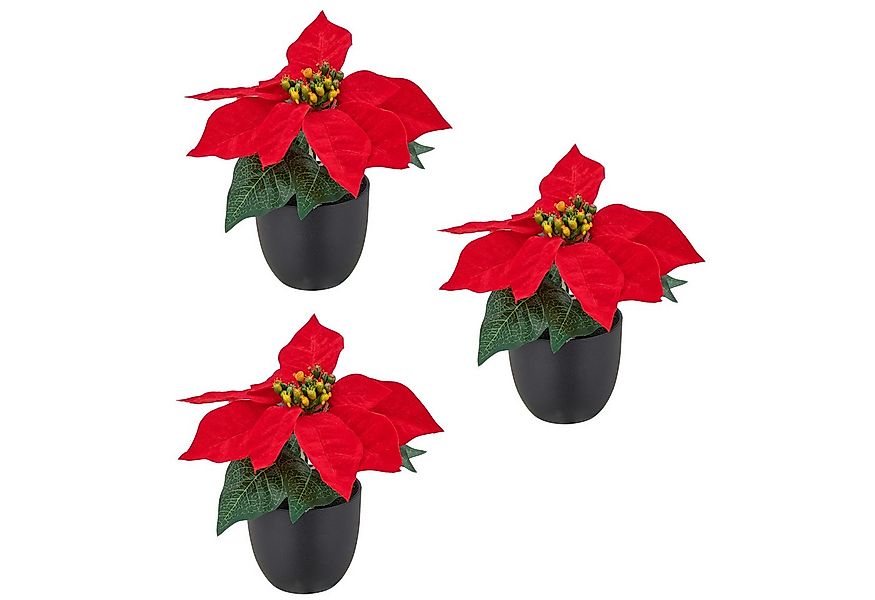 Kunstblume Weihnachtsstern, Creativ green, Höhe 16 cm, mit dauerhafter Blüt günstig online kaufen