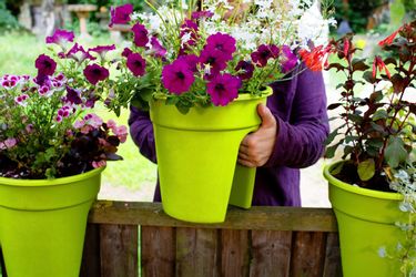 KHW Balkonkasten "Flowerclip" Ø 27 cm günstig online kaufen