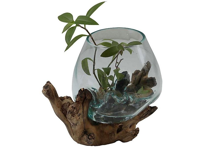 Casa Moro Dekovase Glasvase auf Wurzelholz aus Recycling Glas Ø 18cm & Wurz günstig online kaufen