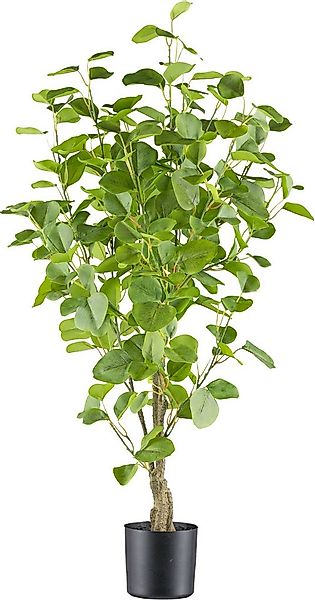 Kunstbaum Eukalyptus Grünpflanze, Creativ green, Höhe 90 cm, mit sehr natur günstig online kaufen