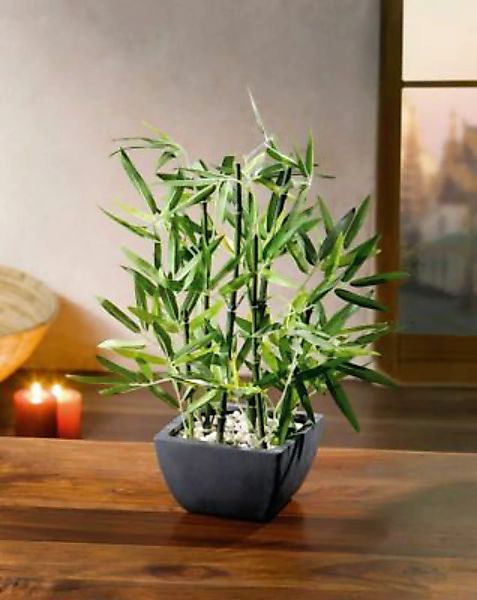 HOME Living Deko-Bambus Deko-Bambus Kunstpflanzen bunt günstig online kaufen