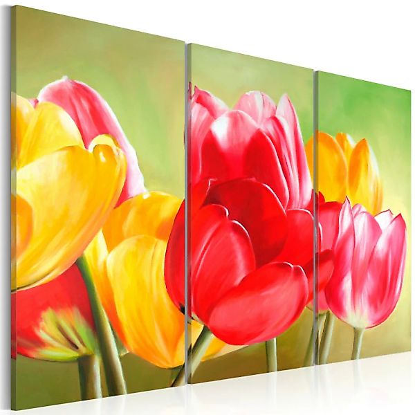 Wandbild Tulpen blühen wieder ... XXL günstig online kaufen