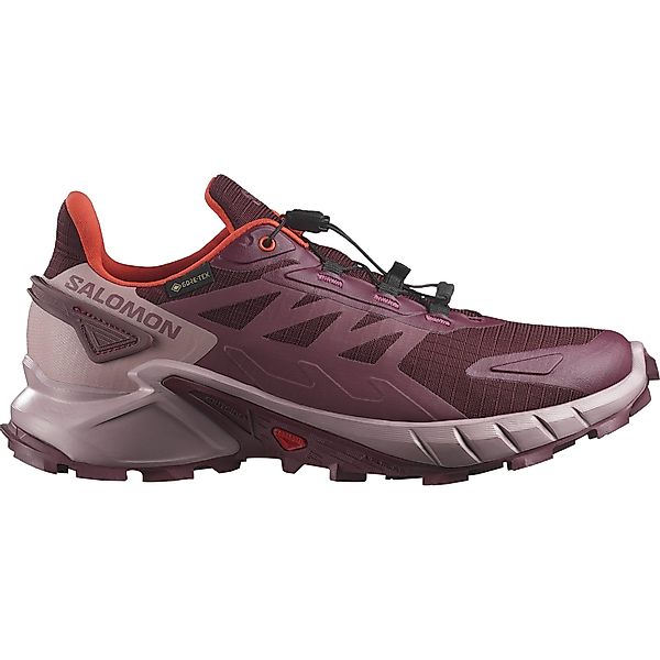 Salomon SUPERCROSS 4 GORE-TEX W Laufschuh günstig online kaufen
