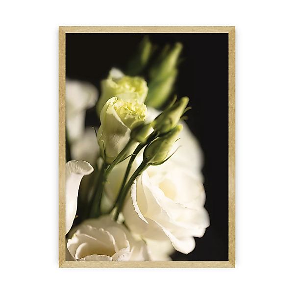 Poster Dark Flowers, 50 x 70 cm, Rahmen wählen: gold günstig online kaufen
