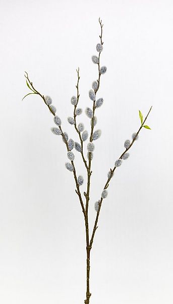 Kunstblume Weidenkätzchenzweig Nature 80cm FT künstliche Palmkätzchen Salix günstig online kaufen