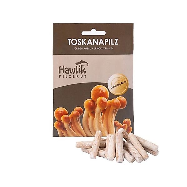 Hawlik Pilzbrut Myzel Dübelbrut Toskanapilze für Pilzzucht im Garten auf Ho günstig online kaufen