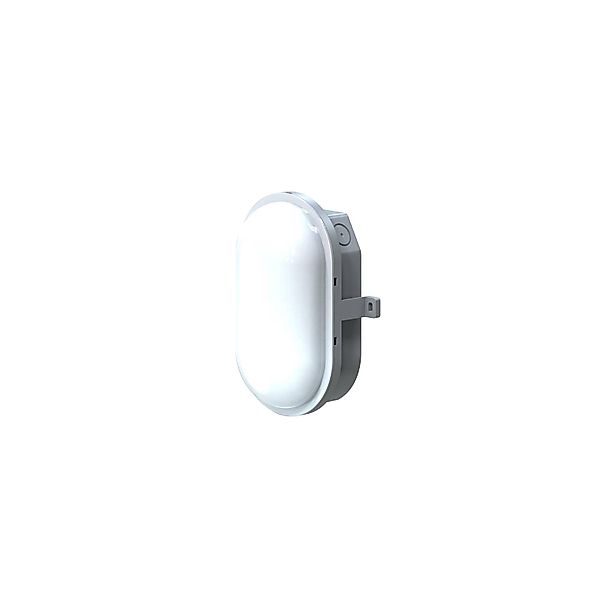 Megatron LED-Ovalleuchte 840 MT69066 - MT69066 günstig online kaufen