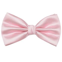 DonDon Fliege Fliege 12 x 6 günstig online kaufen