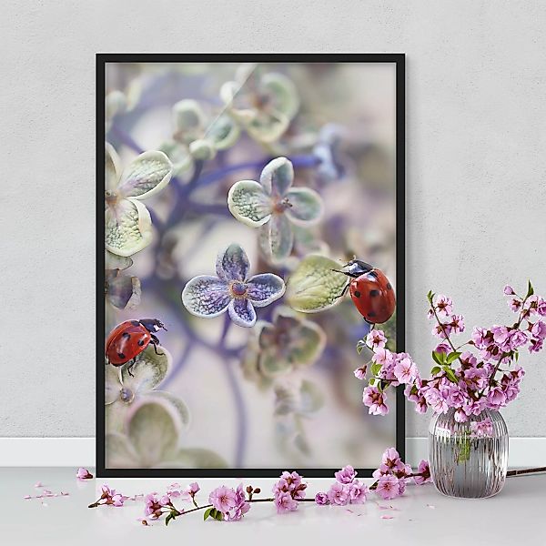 Bild mit Rahmen Blumen - Hochformat Marienkäfer im Garten günstig online kaufen