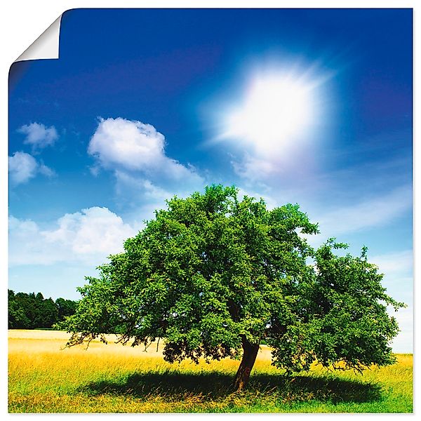 Artland Wandbild "Baum des Lebens", Bäume, (1 St.), als Leinwandbild, Poste günstig online kaufen