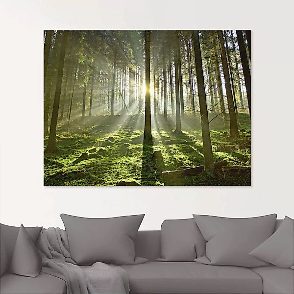 Artland Glasbild "Wald im Gegenlicht", Wald, (1 St.), in verschiedenen Größ günstig online kaufen