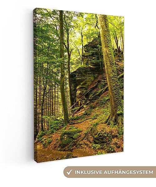 OneMillionCanvasses® Leinwandbild Bäume - Stein - günstig online kaufen