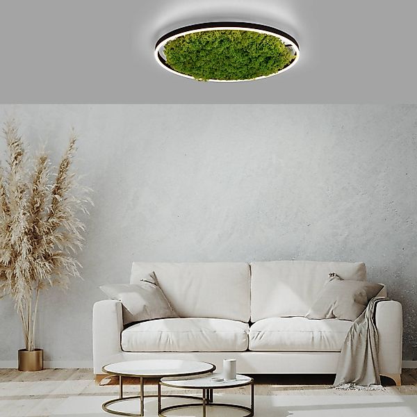 JUST LIGHT Deckenleuchte »GREEN RITU«, 1 flammig, Leuchtmittel LED-Board günstig online kaufen