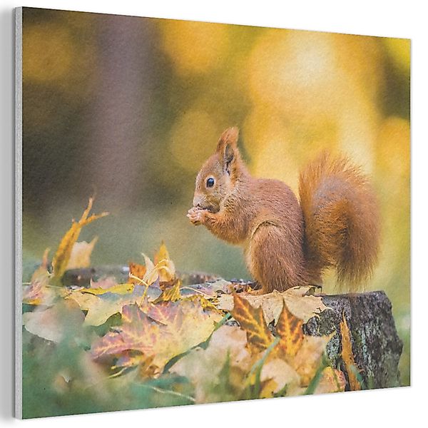MuchoWow Gemälde Eichhörnchen - Herbst - günstig online kaufen