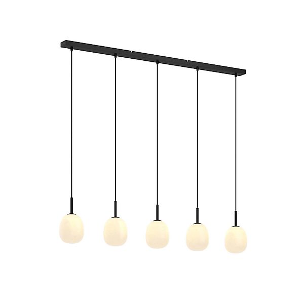 Lindby Pendelleuchte Etiena 9624846 Modern in Schwarz aus Glas 5-flammig G9 günstig online kaufen