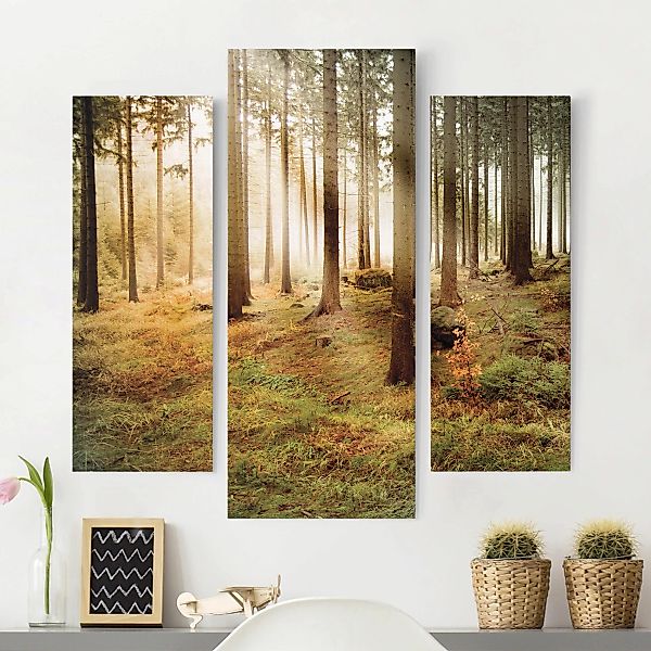 3-teiliges Leinwandbild Wald - Querformat Morning Forest günstig online kaufen