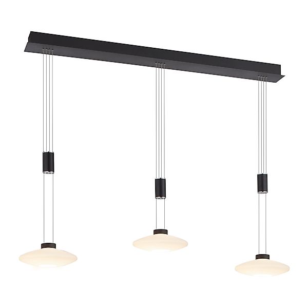 Paul Neuhaus Pendelleuchte »LAUTADA« LED-Board 1 Stk. Warmweiß LED, dimmbar günstig online kaufen