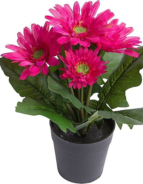 Kunstblume Gerbera mit 5 Blüten, Botanic-Haus, günstig online kaufen