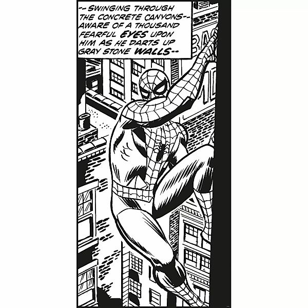 Komar Vliesfototapete Spider-Man Classic Climb 100 cm x 200 cm günstig online kaufen