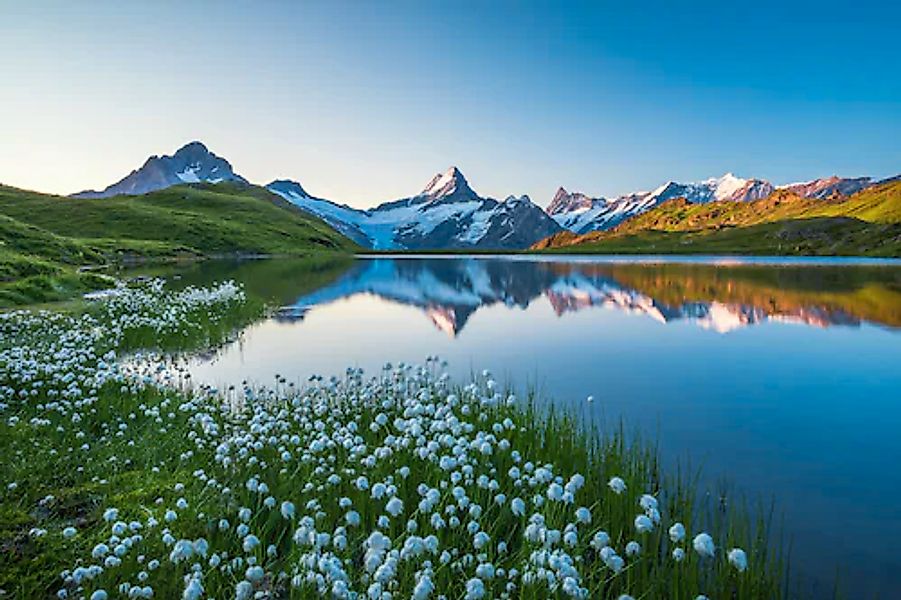 Papermoon Fototapete »LANDSCHAFT-GEBIRGE BERGE SEE ALPEN BLUMEN NATUR TAPET günstig online kaufen