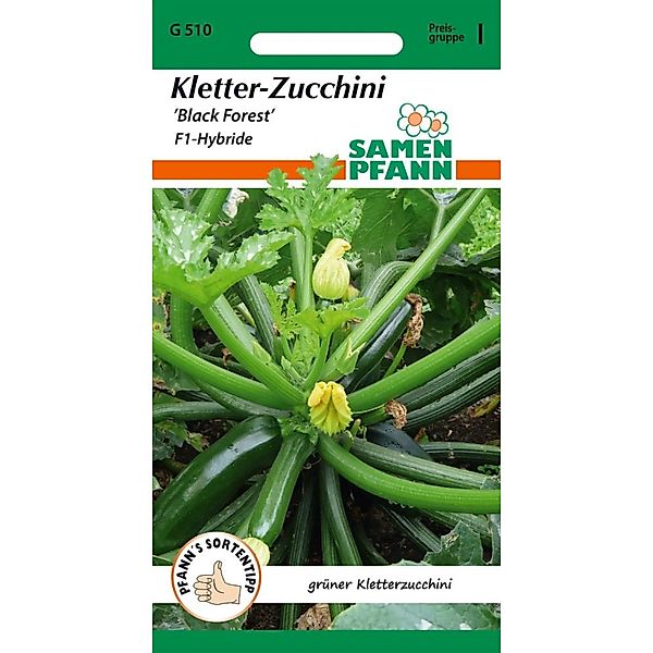 SAMEN PFANN Zucchini Black Forest F1 Kletterzucchini günstig online kaufen