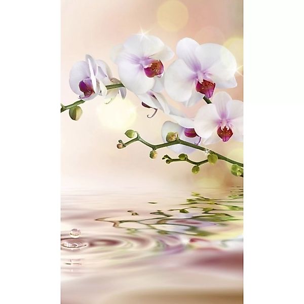 Fototapete WHITE ORCHID | MS-2-0147 | Rosa | Digitaldruck auf Vliesträger günstig online kaufen