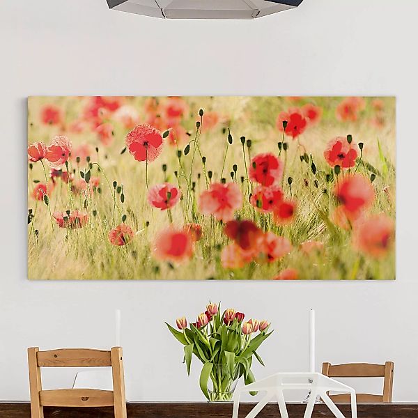 Leinwandbild - Querformat Summer Poppies günstig online kaufen