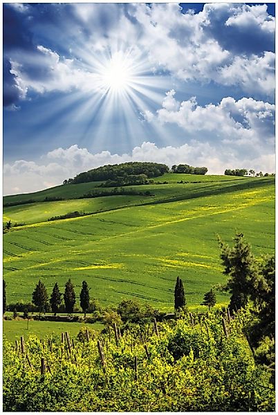 Wallario Poster, Strahlender Sonnenschein, in verschiedenen günstig online kaufen