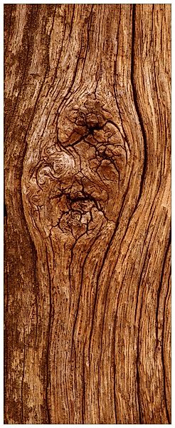 Wallario Wandfolie, Holzstamm mit Asteinschluss, in günstig online kaufen
