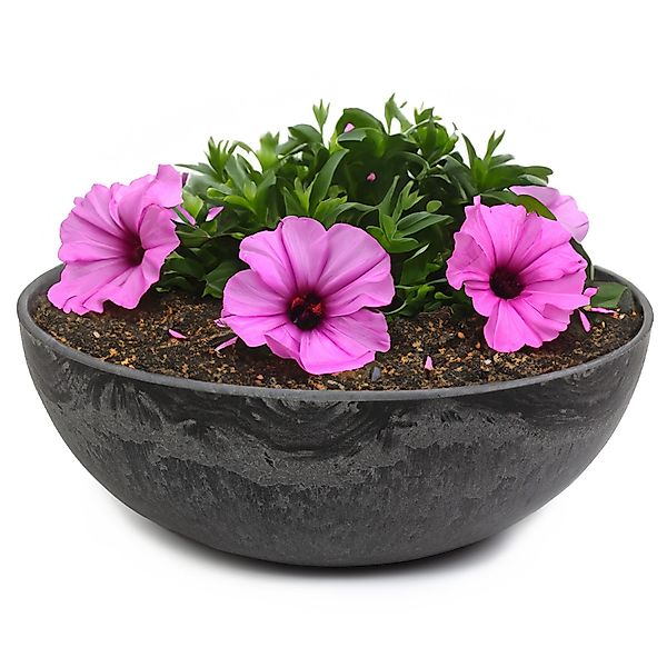 matches21 HOME & HOBBY Blumentopf Runde günstig online kaufen