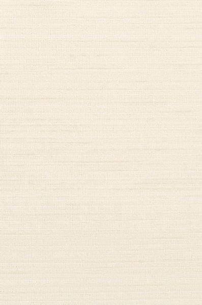 Neutex for you Vorhang "Biella" verdeckte Schlaufen 1 Stk. tlg. HxB: 245x14 günstig online kaufen