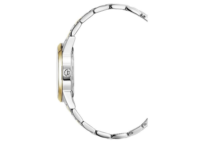 Swiss Alpine Military Quarzuhr 7767.1147SAM günstig online kaufen