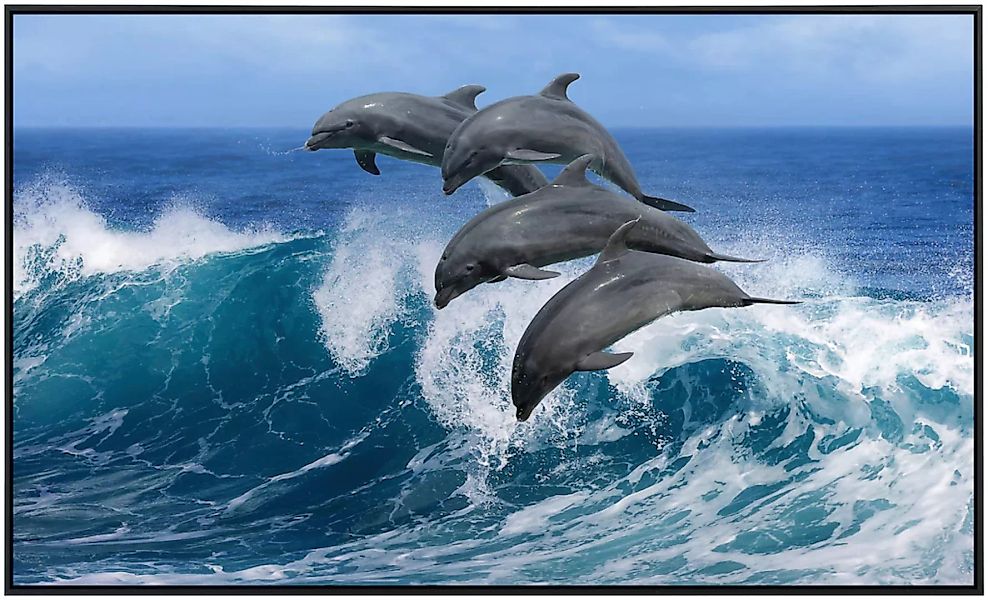 Papermoon Infrarotheizung »Verspielte Delfine«, sehr angenehme Strahlungswä günstig online kaufen
