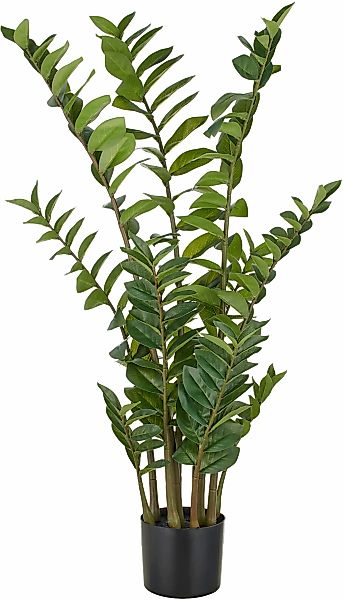 Creativ green Kunstpflanze "Zamifolia", mit detailgetreuer Gestaltung günstig online kaufen