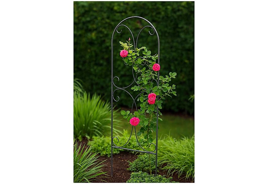 HTI-Living Rankhilfe Rankhilfe Verena Stück, 1 Rankhilfe, Rankgitter günstig online kaufen