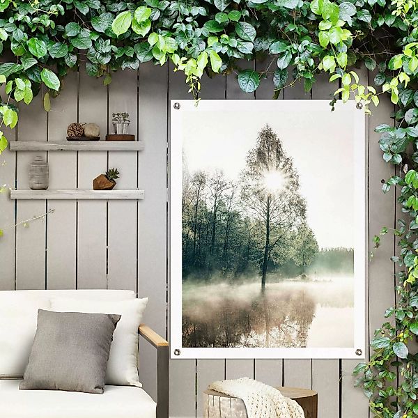 Reinders! Poster »Sonne durch die Bäume«, Outdoor für Garten oder Balkon günstig online kaufen