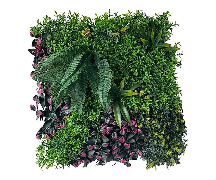 ASCountrystone Wandpaneel Wandgrün Kunsthecke, BxL: 50,00x50,00 günstig online kaufen