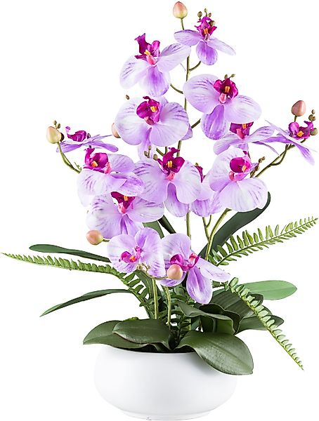 Creativ green Kunstorchidee "Orchidee Phalaenopsis", mit Farnzweigen günstig online kaufen