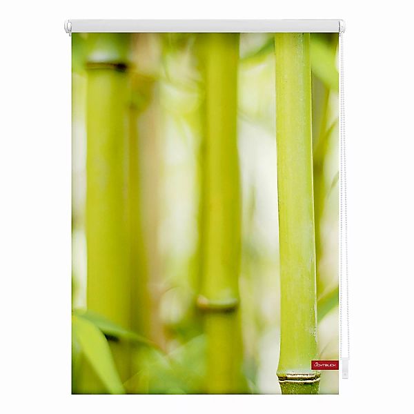 Rollo Bambus grün B/L: ca. 60x150 cm günstig online kaufen