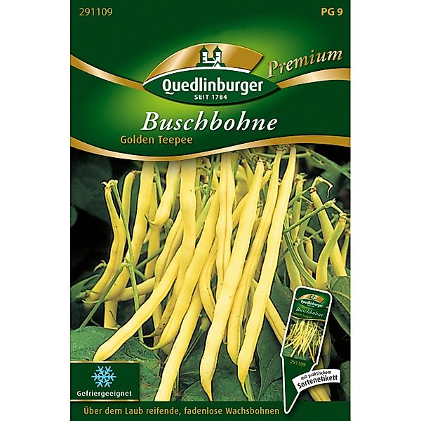 Quedlinburger Buschbohne ''Golden Teepee'' günstig online kaufen