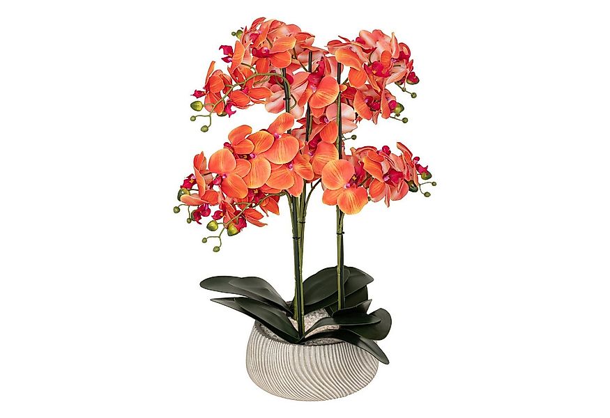 Kunstpflanze Zimmerpflanze, Atmosphera Créateur d'intérieur, Höhe 65 cm günstig online kaufen