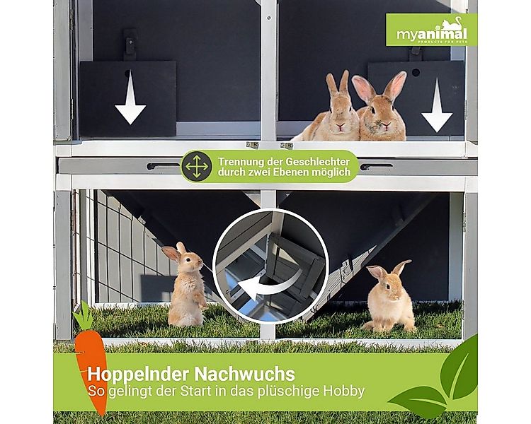 My Animal Kleintierstall XXL Hasenstall MH-33 - 2 Etagen - Wetterbeständig, günstig online kaufen